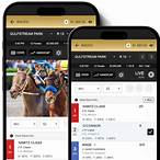 bet horse racing online